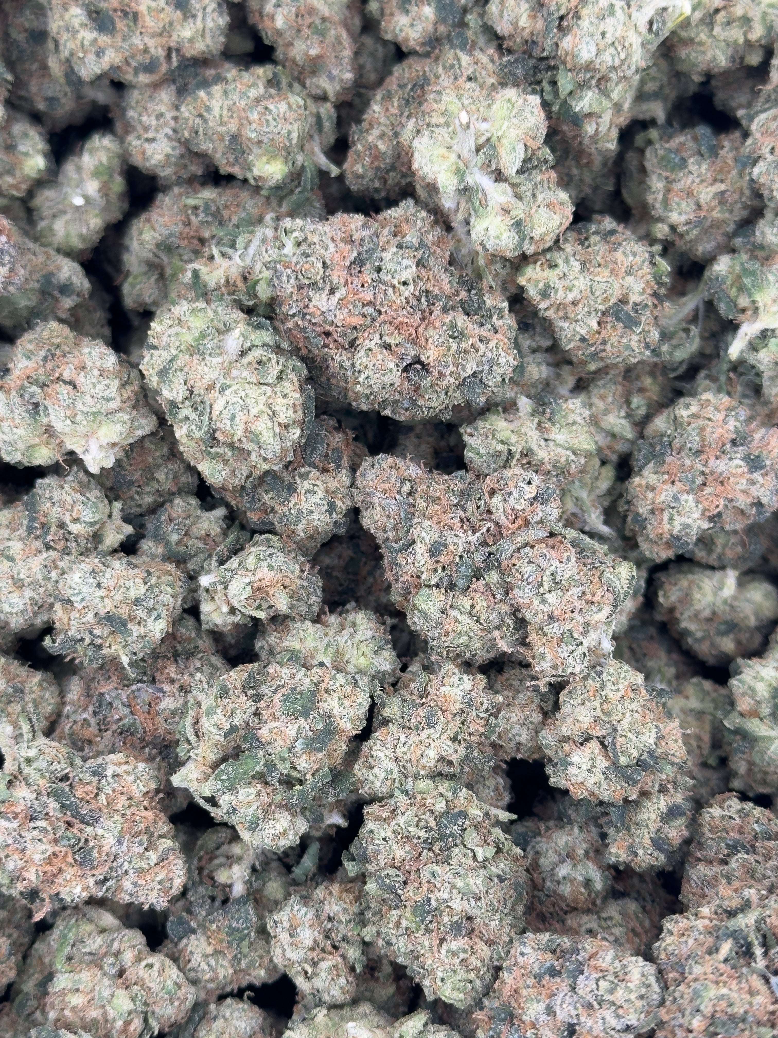 THCA Flower - Sour OG 28g