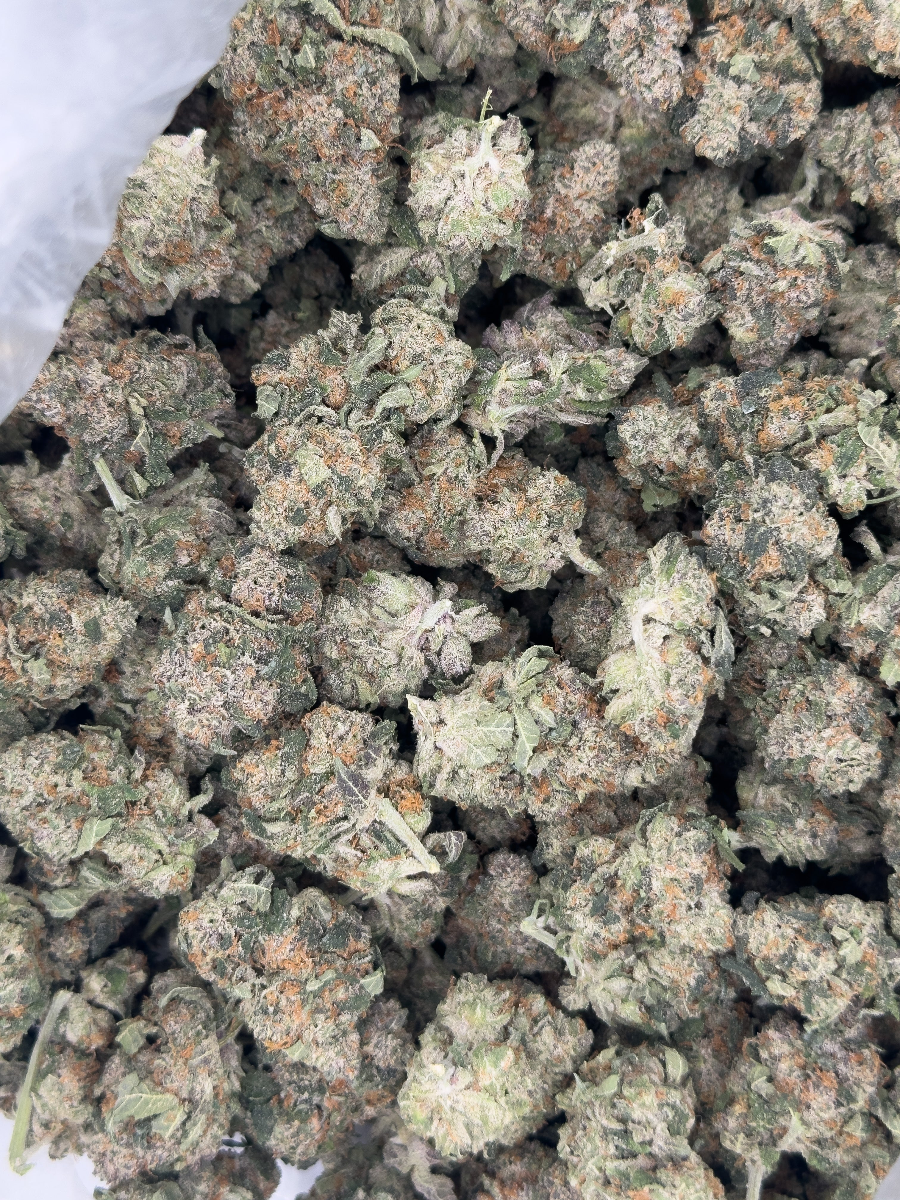 THCA Flower - Blueberry Pie 28g