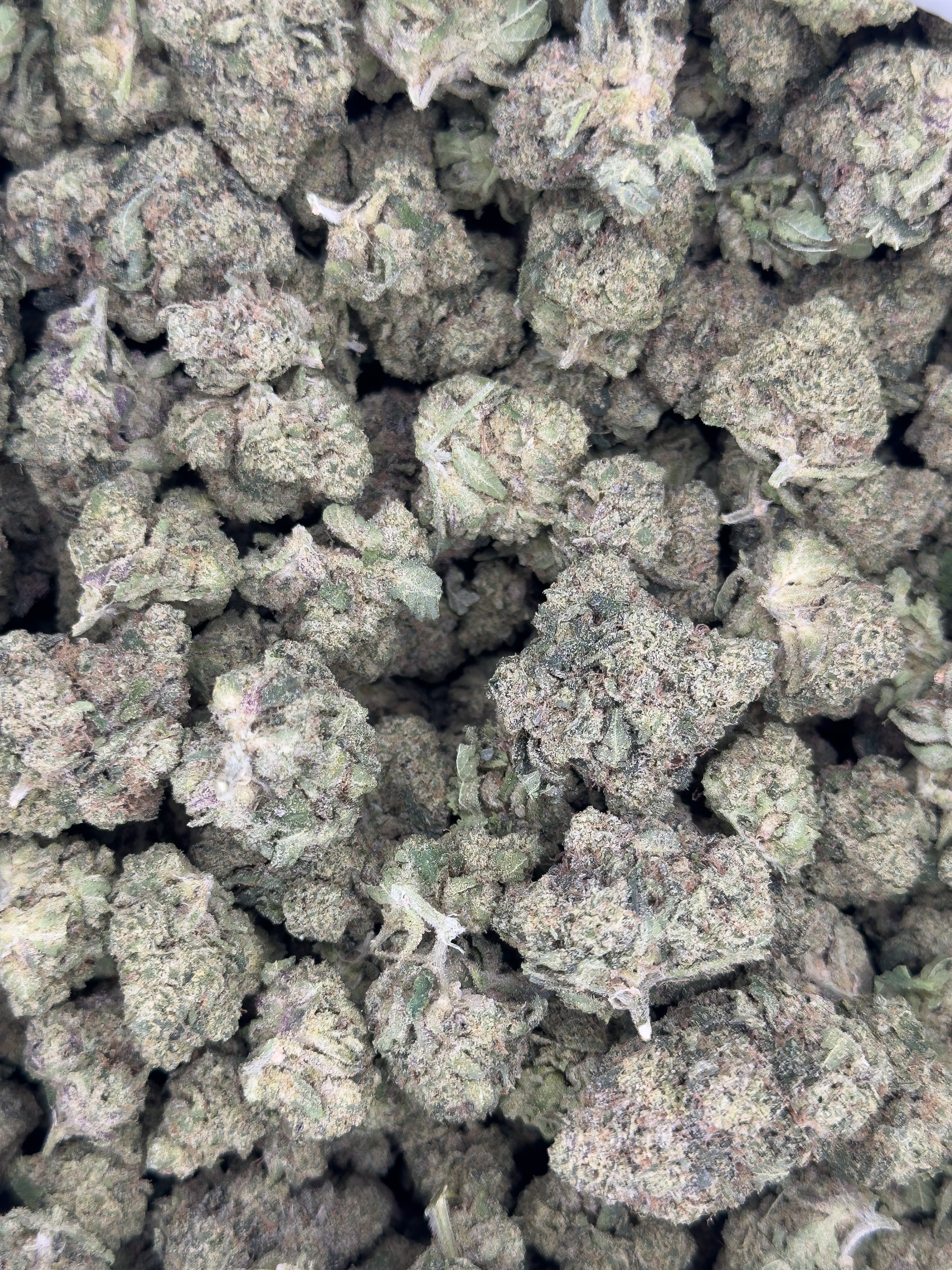 THCA Flower - LCG (Lemon Cherry Gelato) 28g