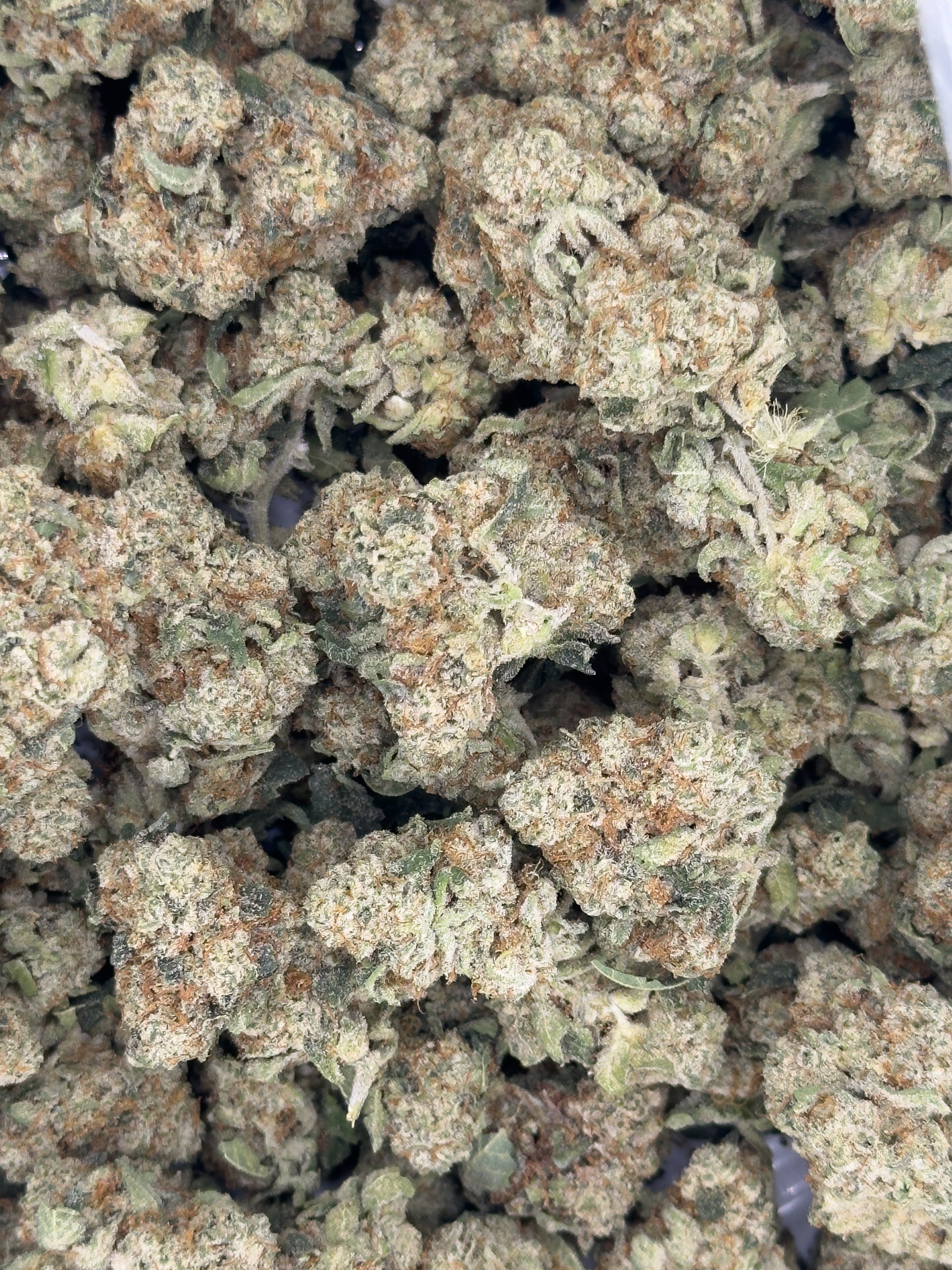 THCA Flower - Kush Mints 28g