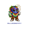 THCA Edibles - Blueberry Gummies 500mg